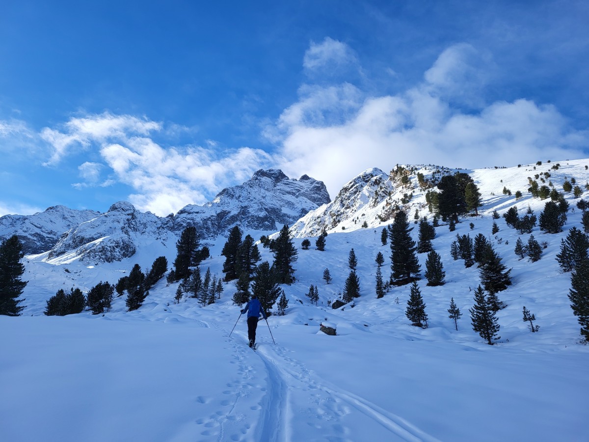 Im Schatten der Rofelewand