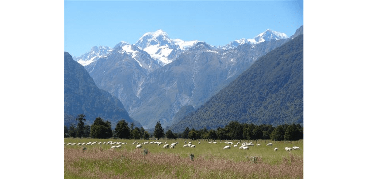 Mt. Tasman und Mt. Cook in Neuseeland