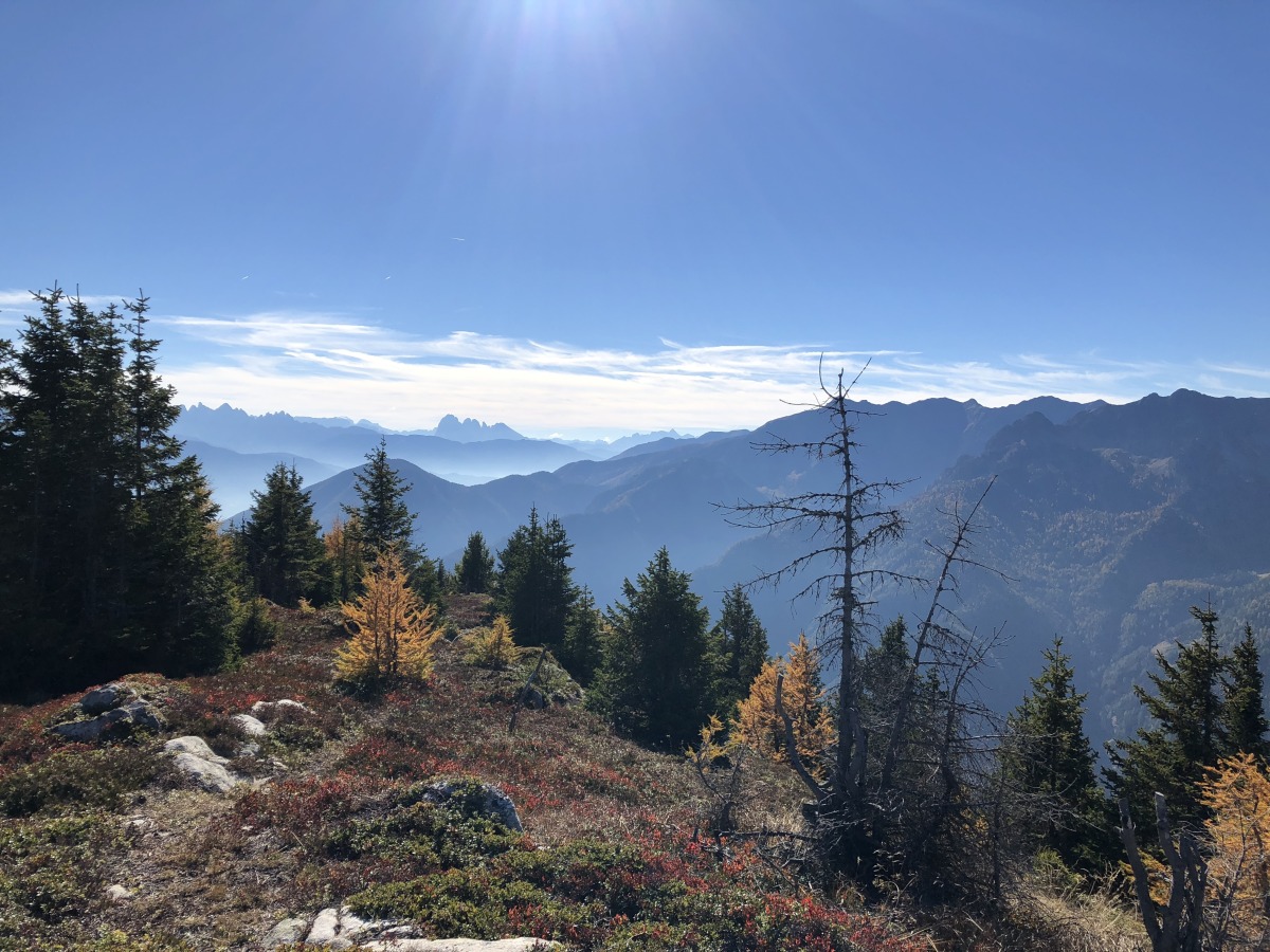 Herbstsonne in Südtirol