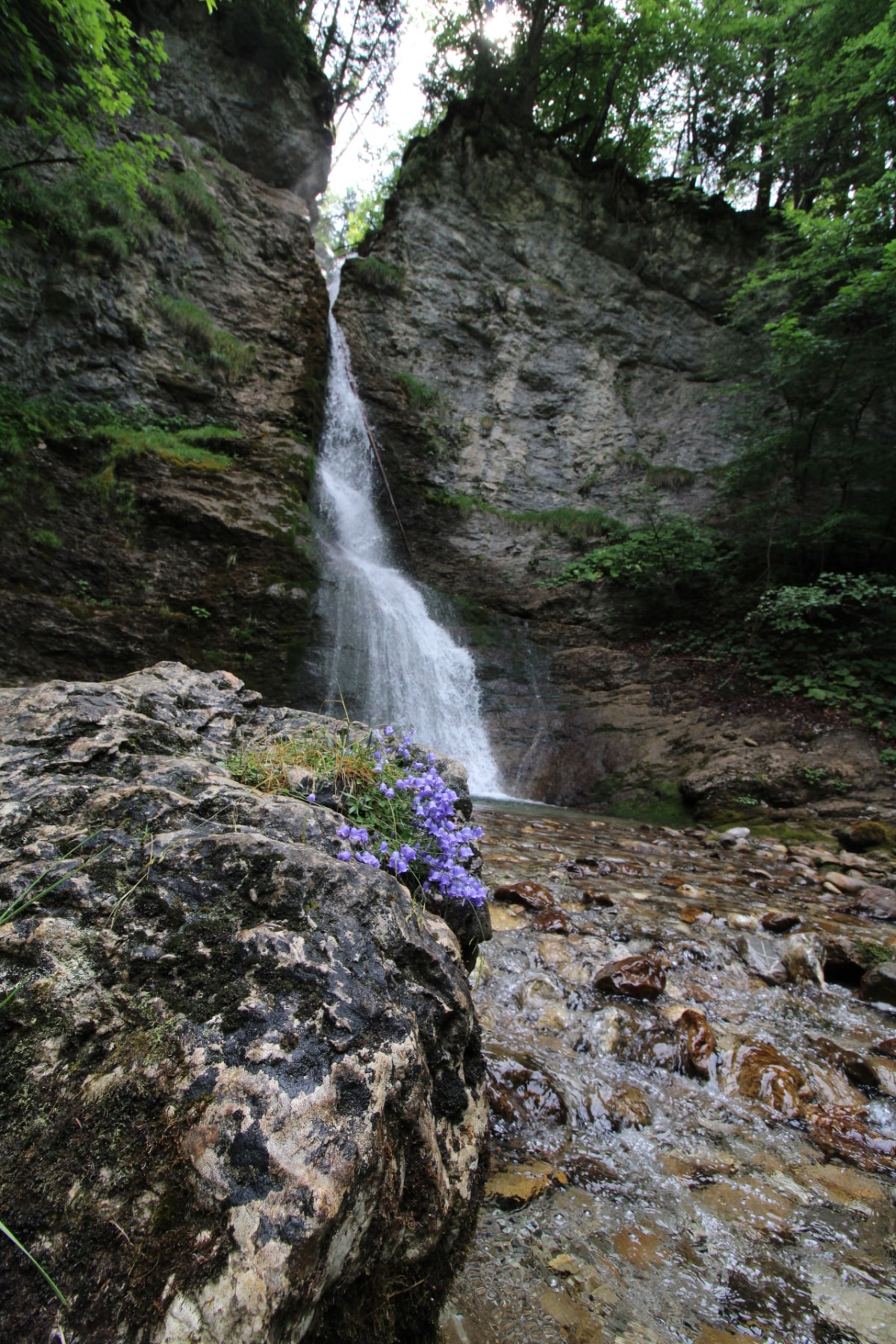 Wasserfall mit Blumen