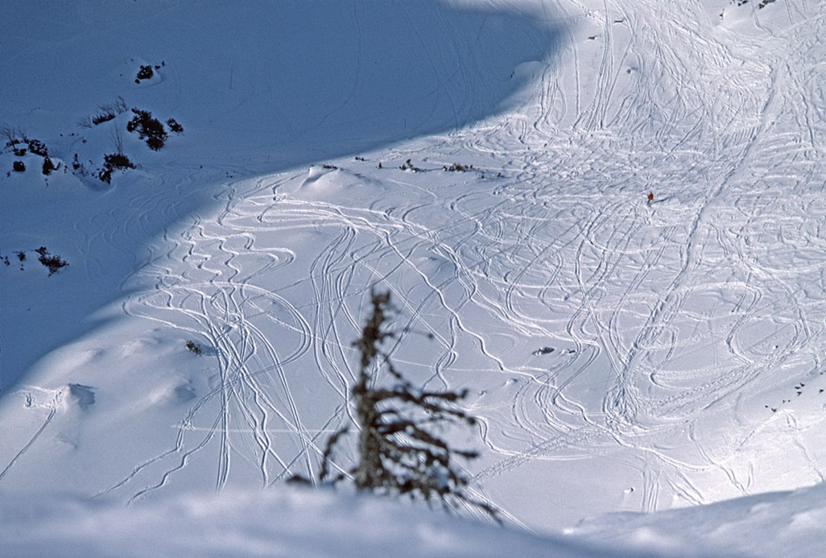 Tausend Spuren und ein Skifahrer