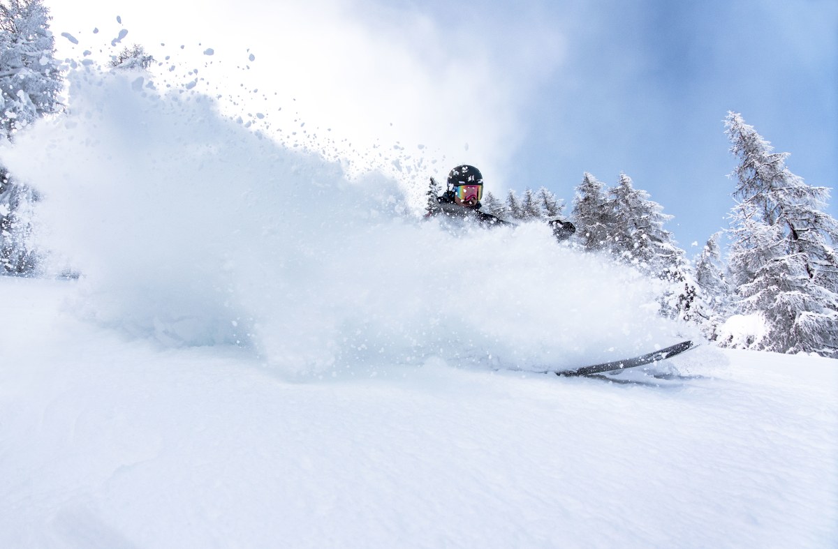 ALL WE NEED IS POWDER!