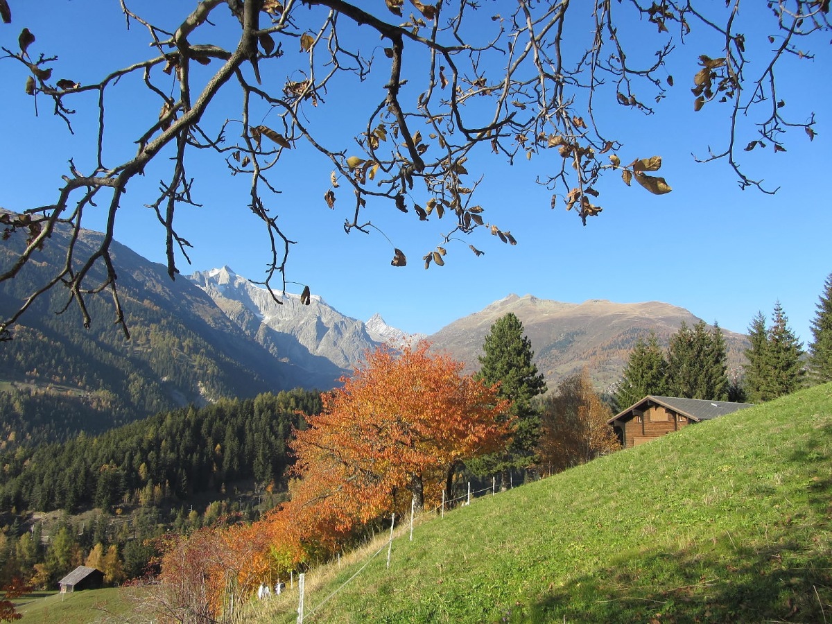 Herbst im Wallis