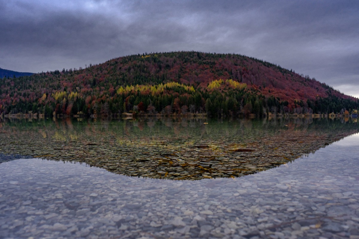 Herbstwald am Walchensee
