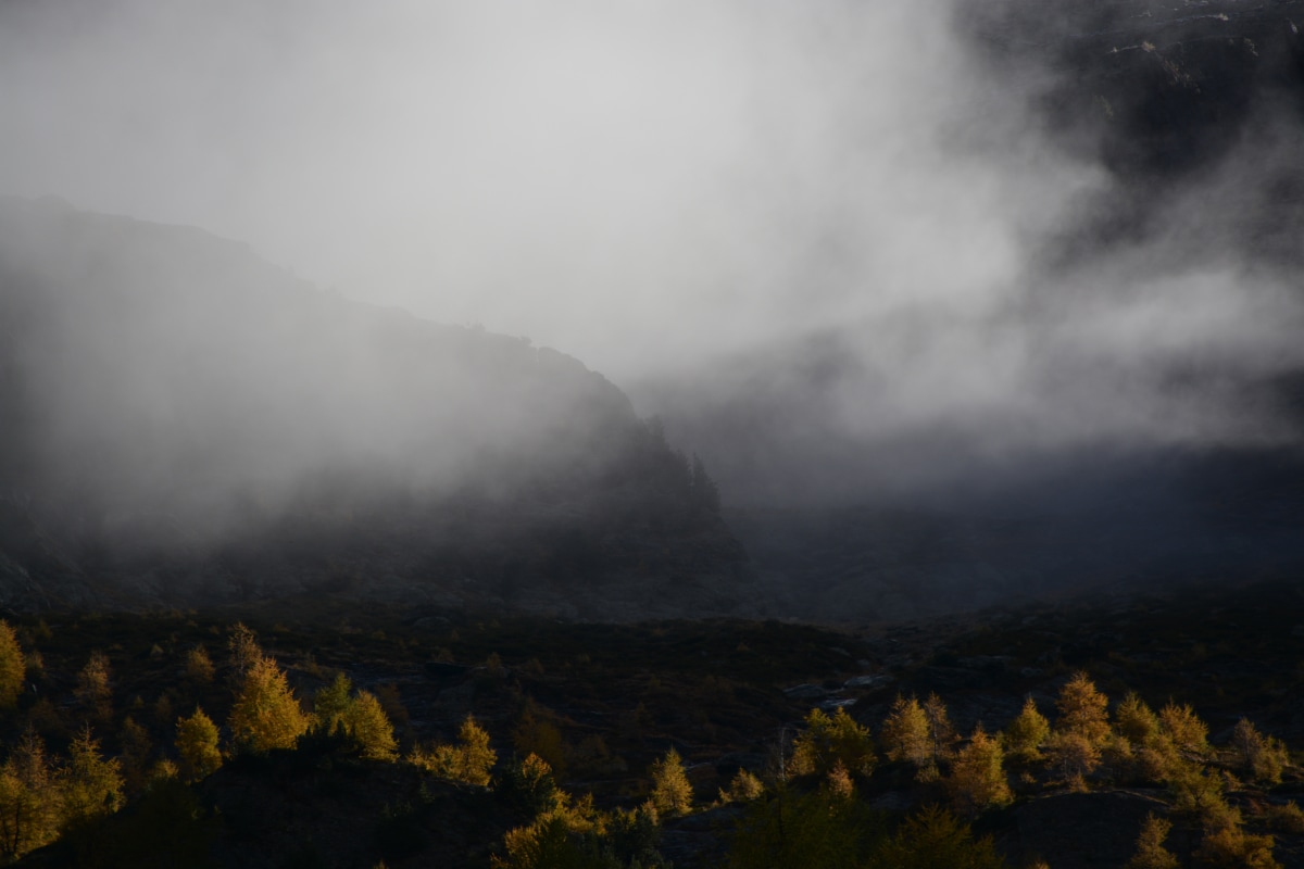 Herbstglanz im Nebel