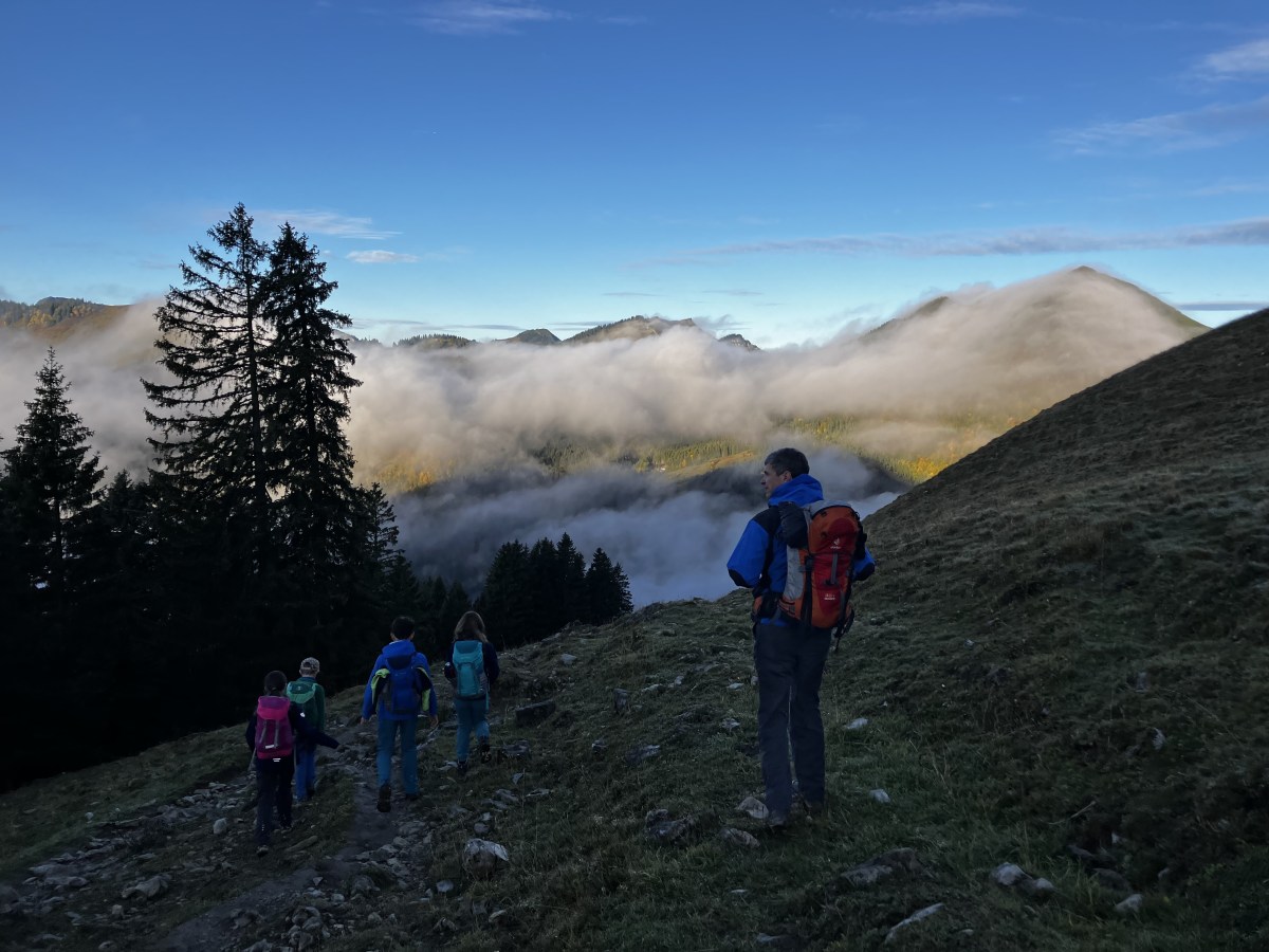 Abstieg von der Schönfeldhütte