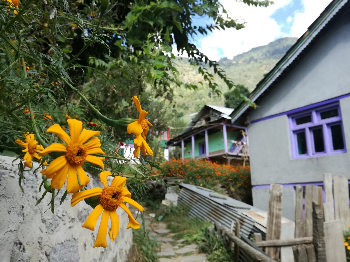 4 little flowers and a colourful mountain village
