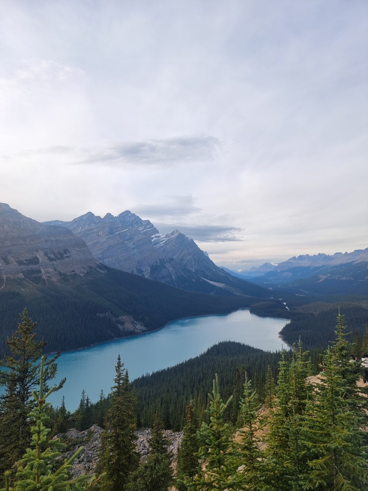 Peyto Lake