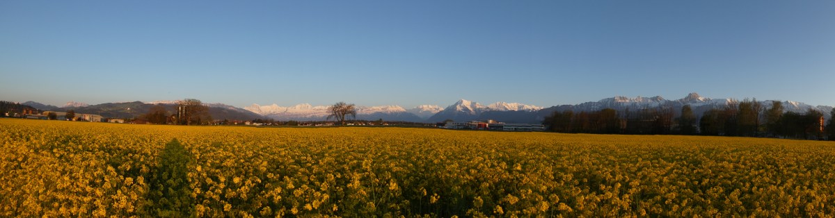 Sonnige Berneralpen