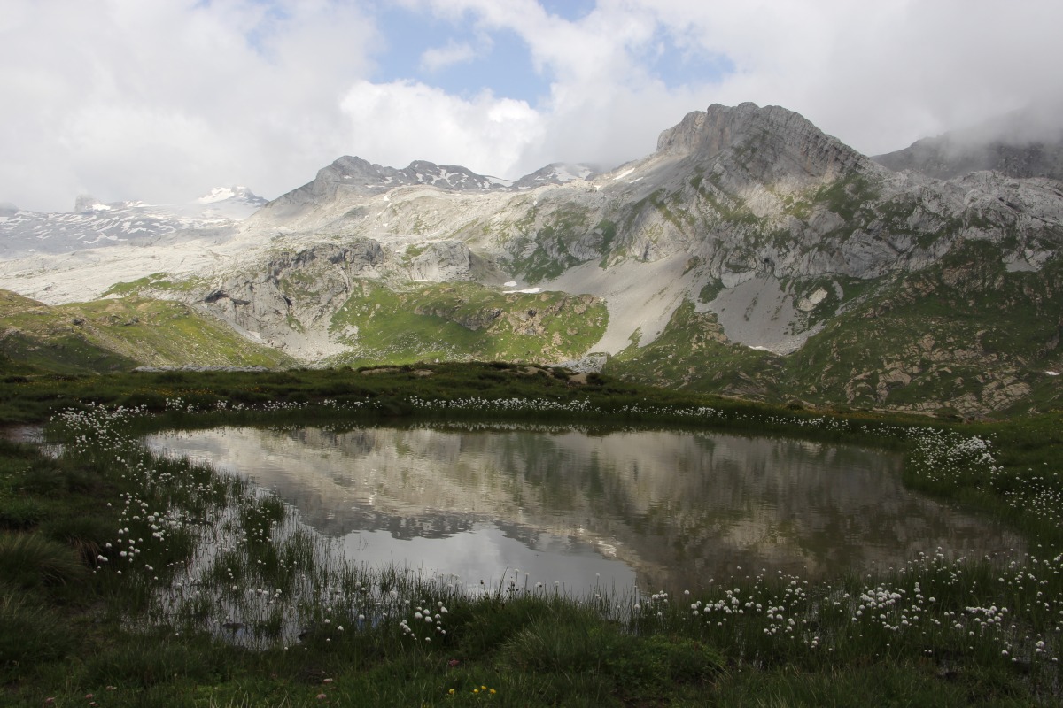 Bergsee im Blütenkreis