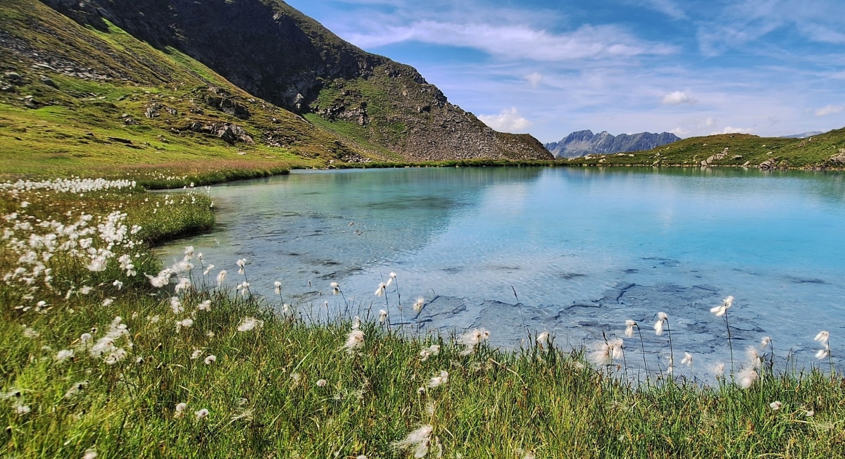 Karibik in Österreich