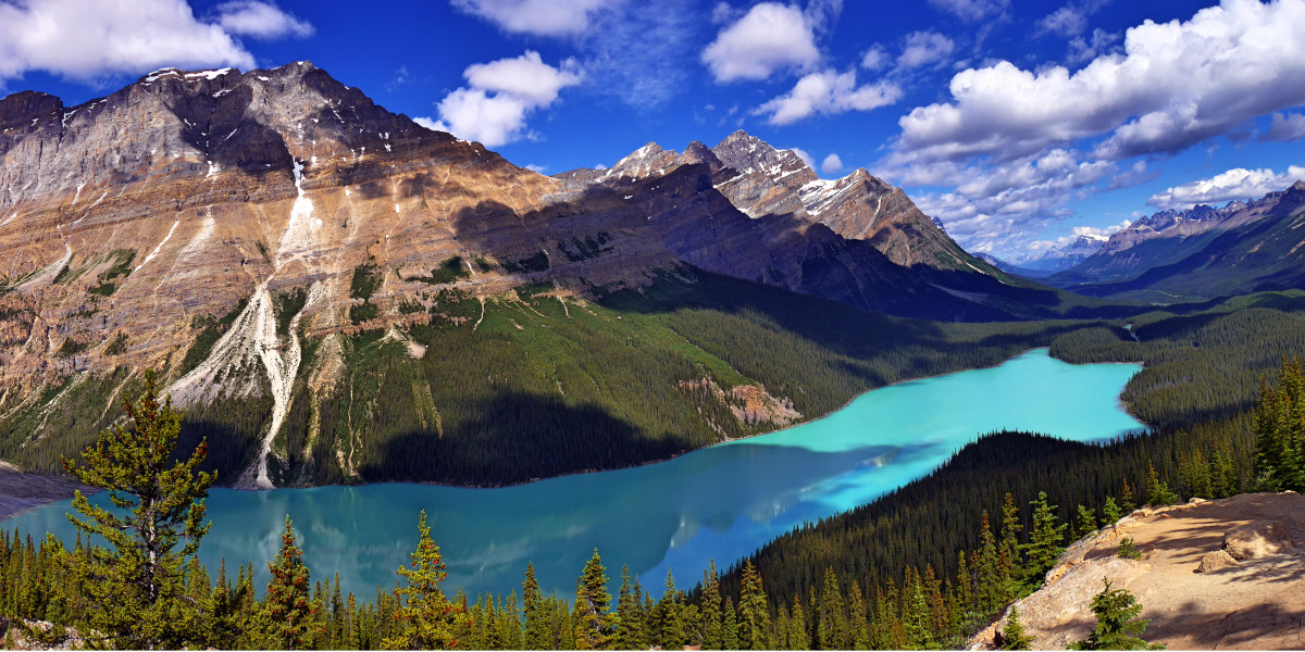 Lake Peyto