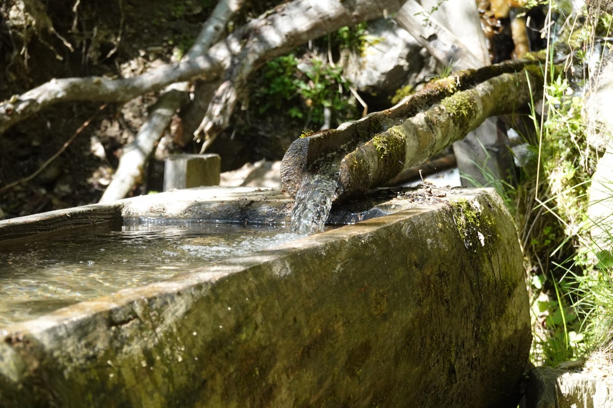 Wasserquelle - Lebenselexier