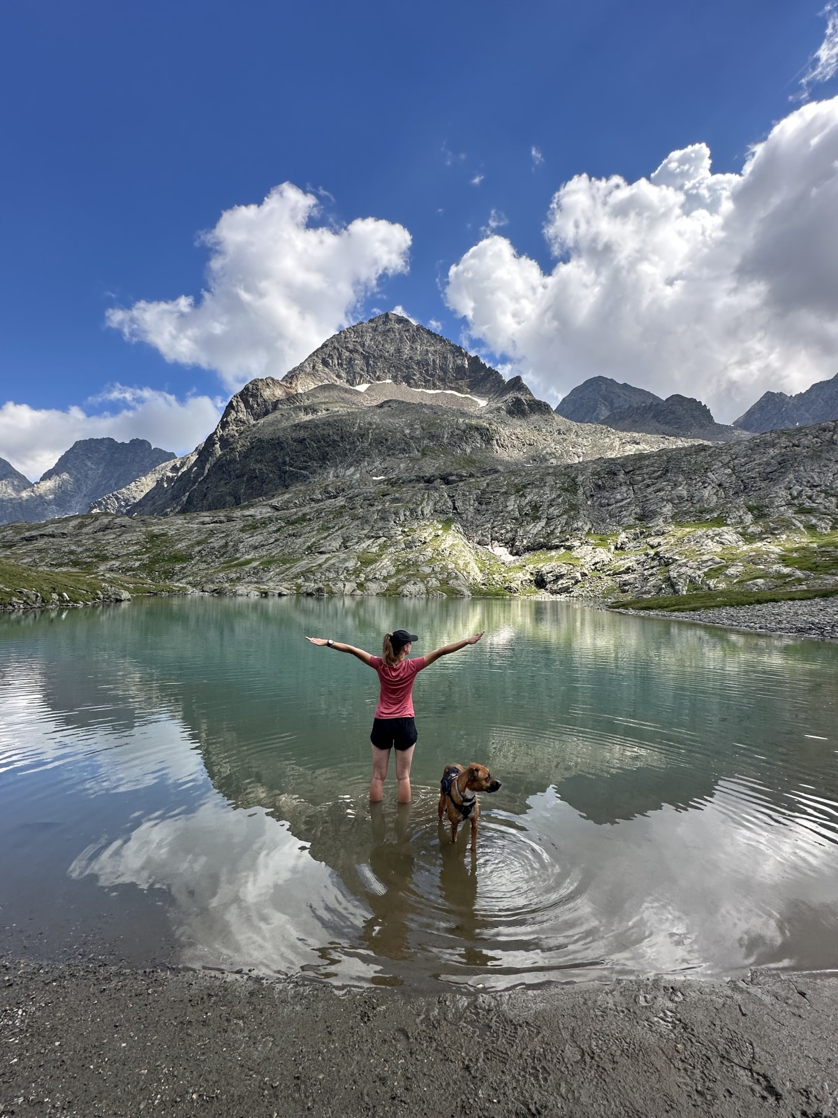 Traumtagerl in den Hohen Tauern