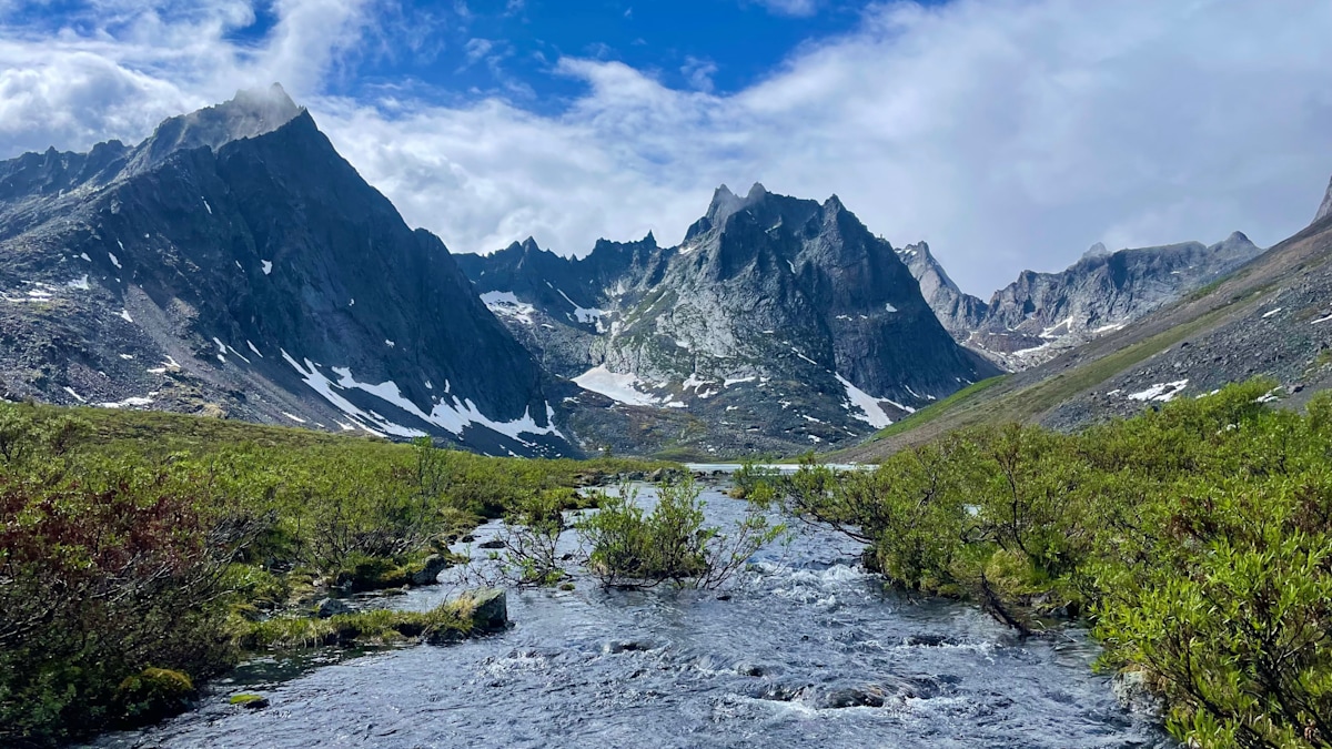 Grizzly Lake 