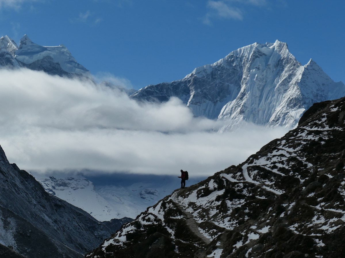 Himalayariesen über den Wolken