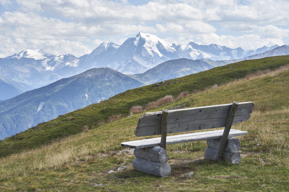 Blickfang Ortler