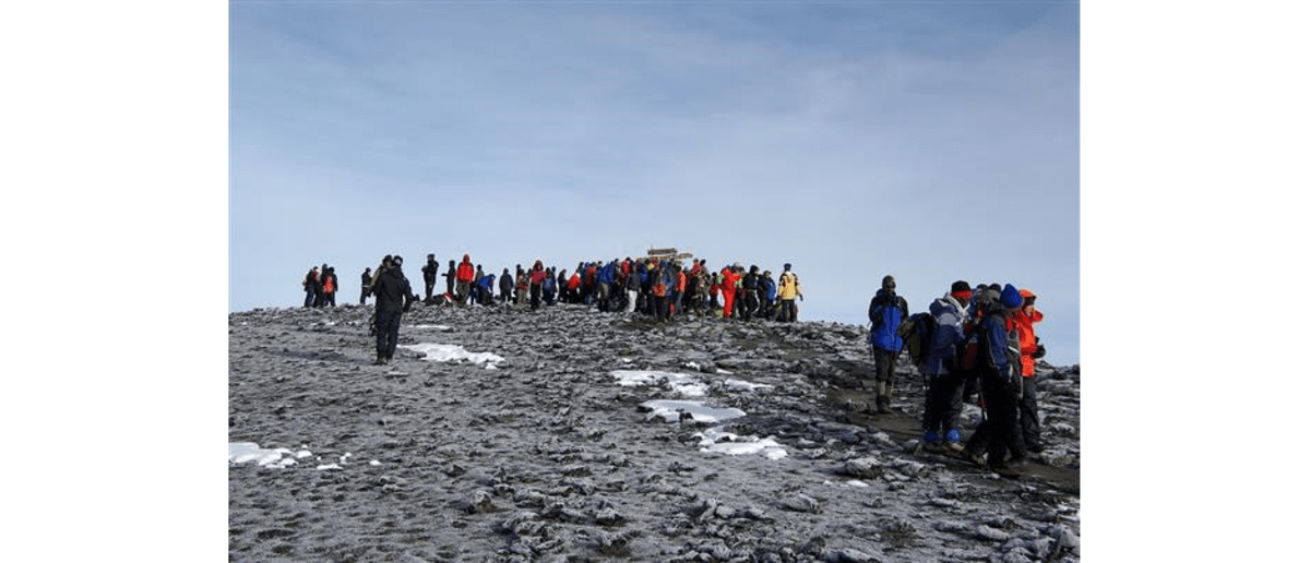 Traum oder Alptraum?