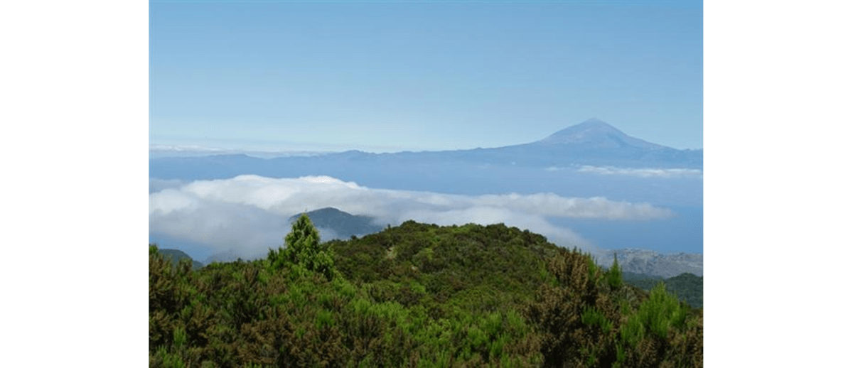 Pico del Teide