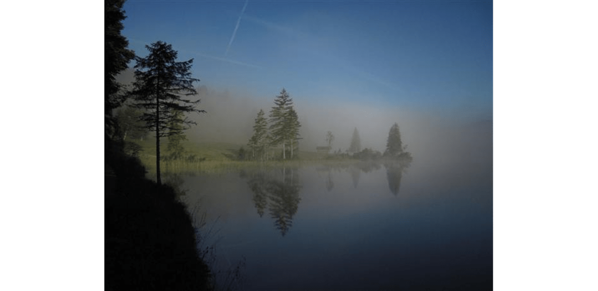Morgennebel am Ferchensee