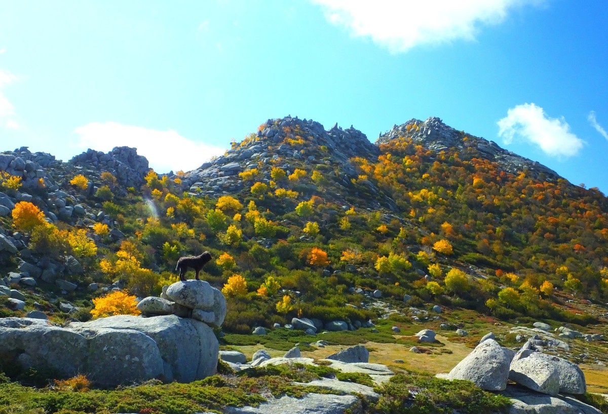 Herbst in Korsika