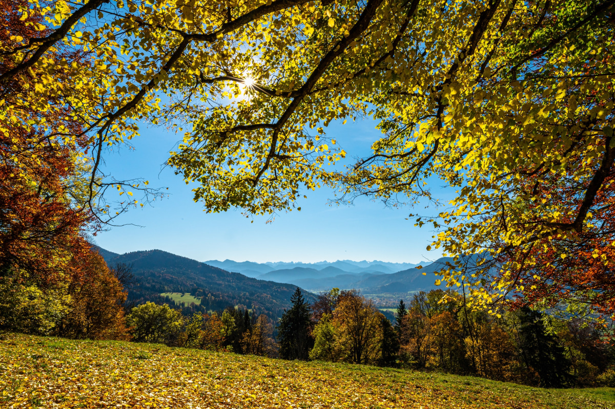 herbstliche Sunntratn