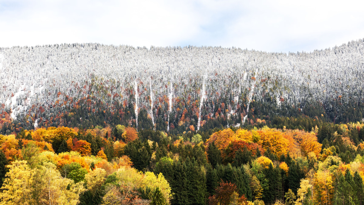 Herbstschnee