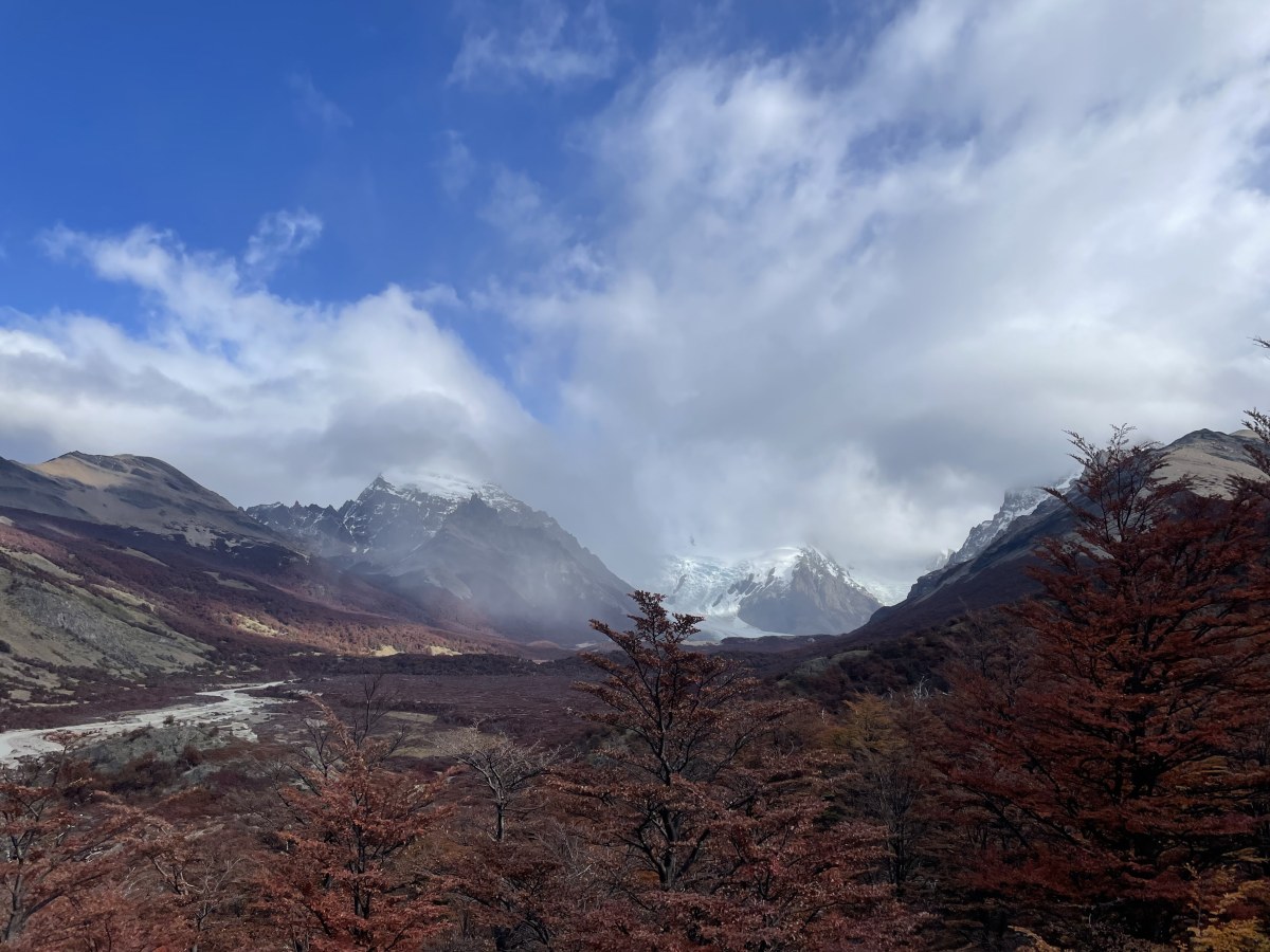 Rote Wälder Patagoniens