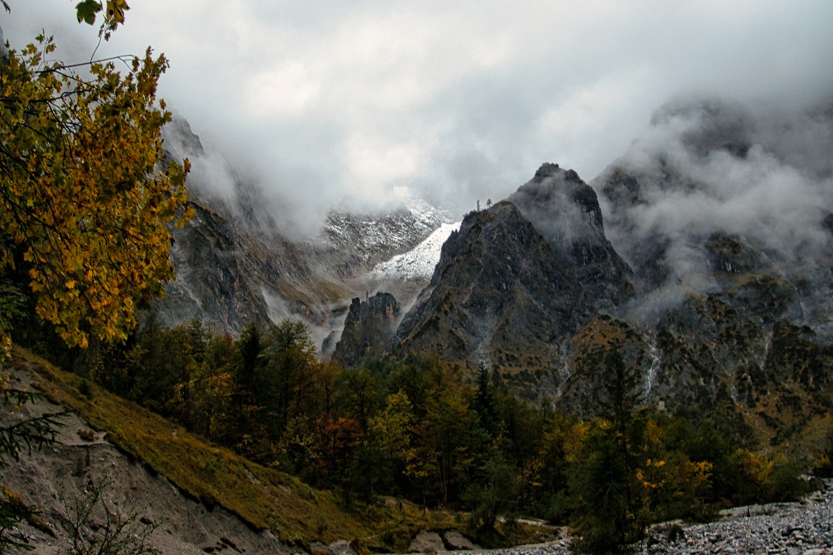 herbstliche Leuchtkraft