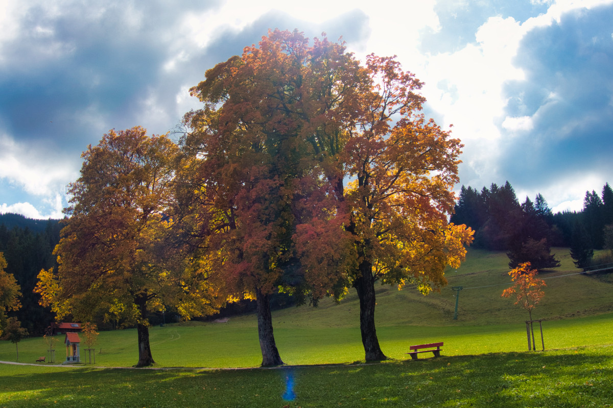 Der Herbst ist da!