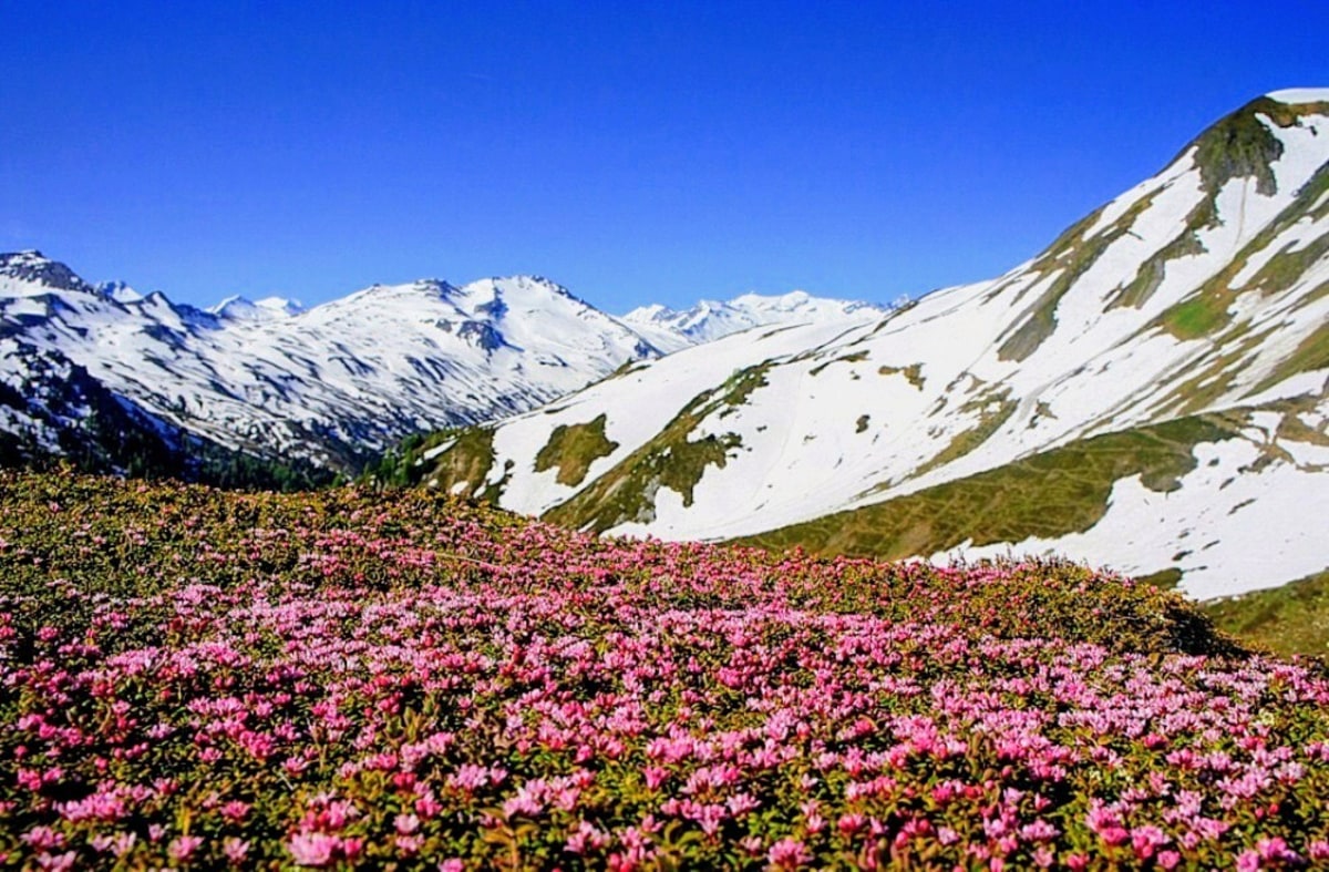 Frühling trifft Winter 