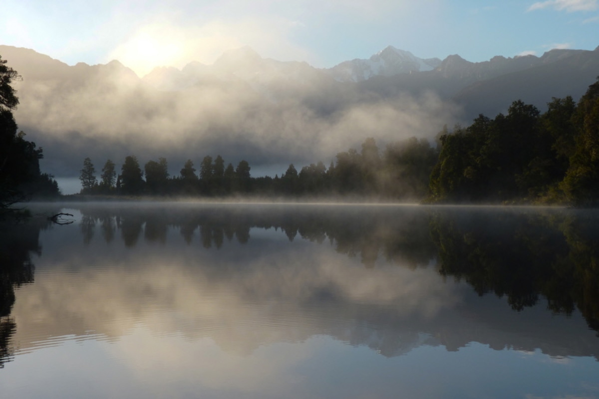 Morgennebel in Neuseeland