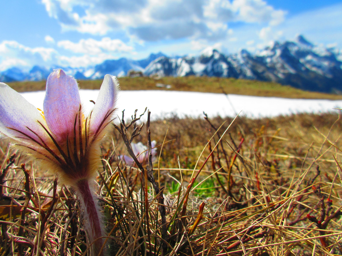 Frühling in den Ötztaler Alpen