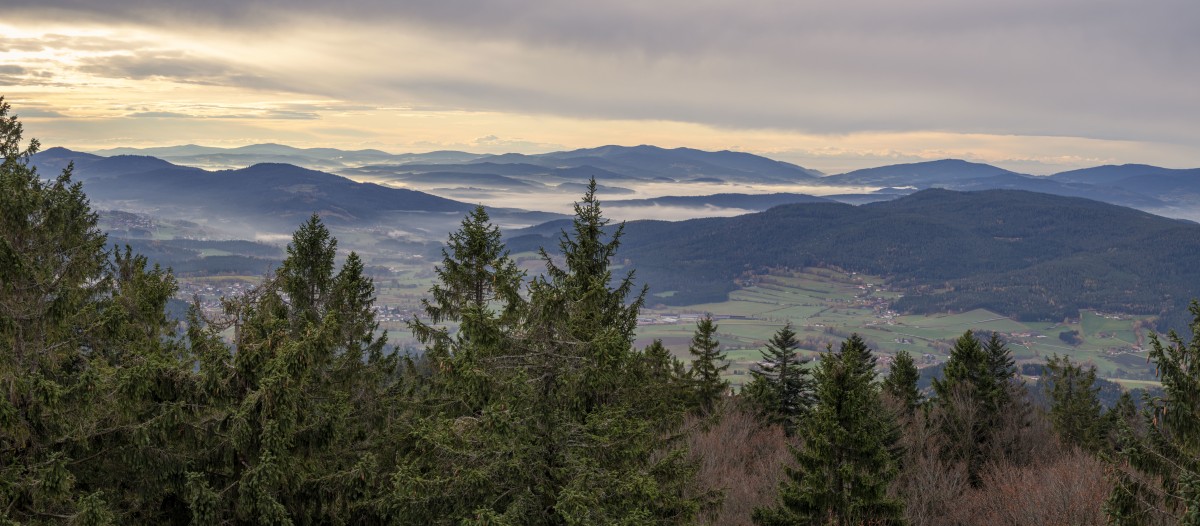 Nebelpanorama mit Blick in den Bayerischen Wald