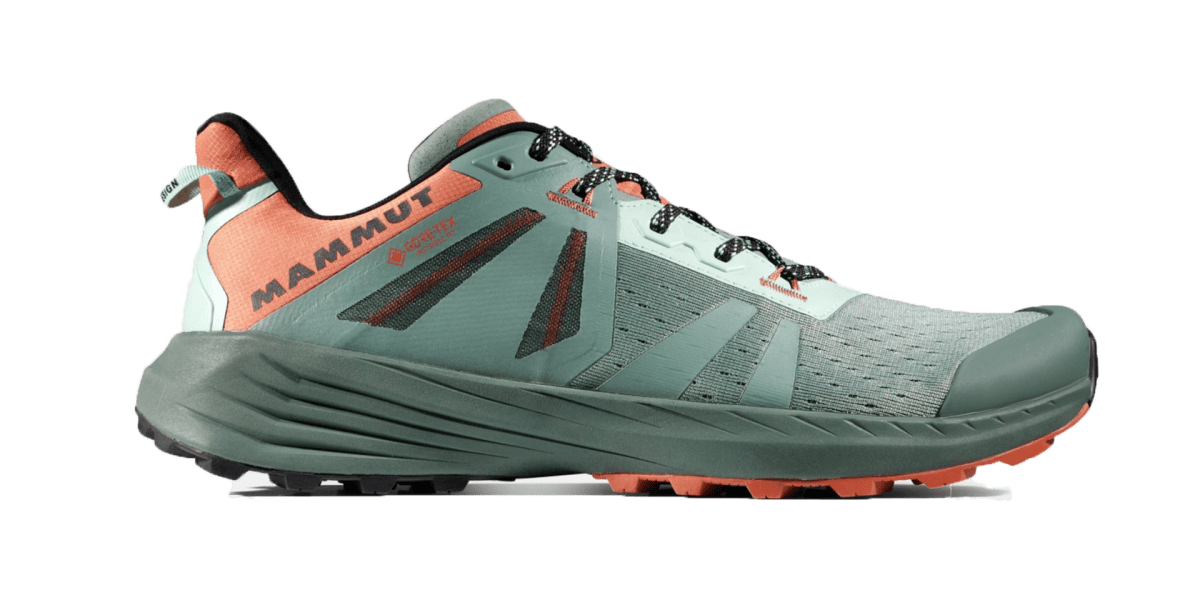 Mammut Saentis TR Low GTX