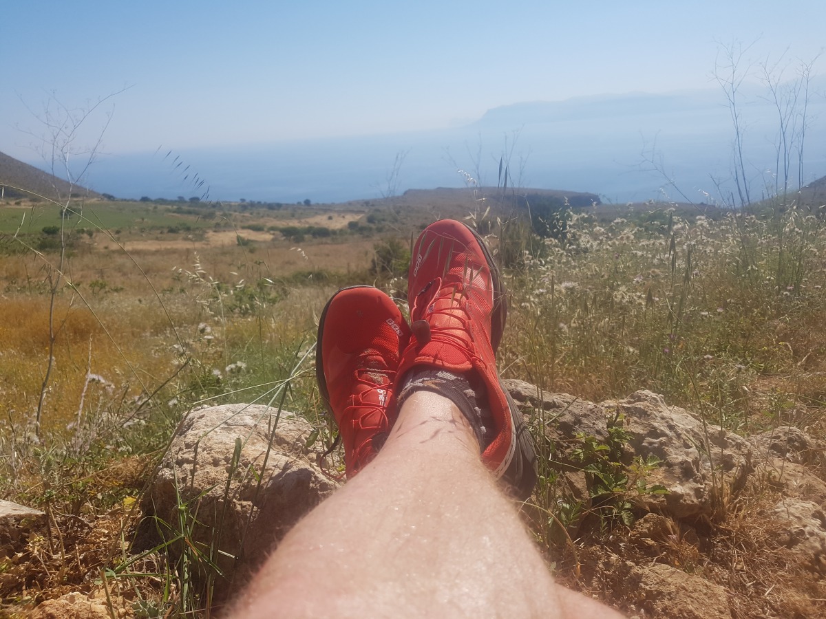 Test Salomon S Lab Wings 8