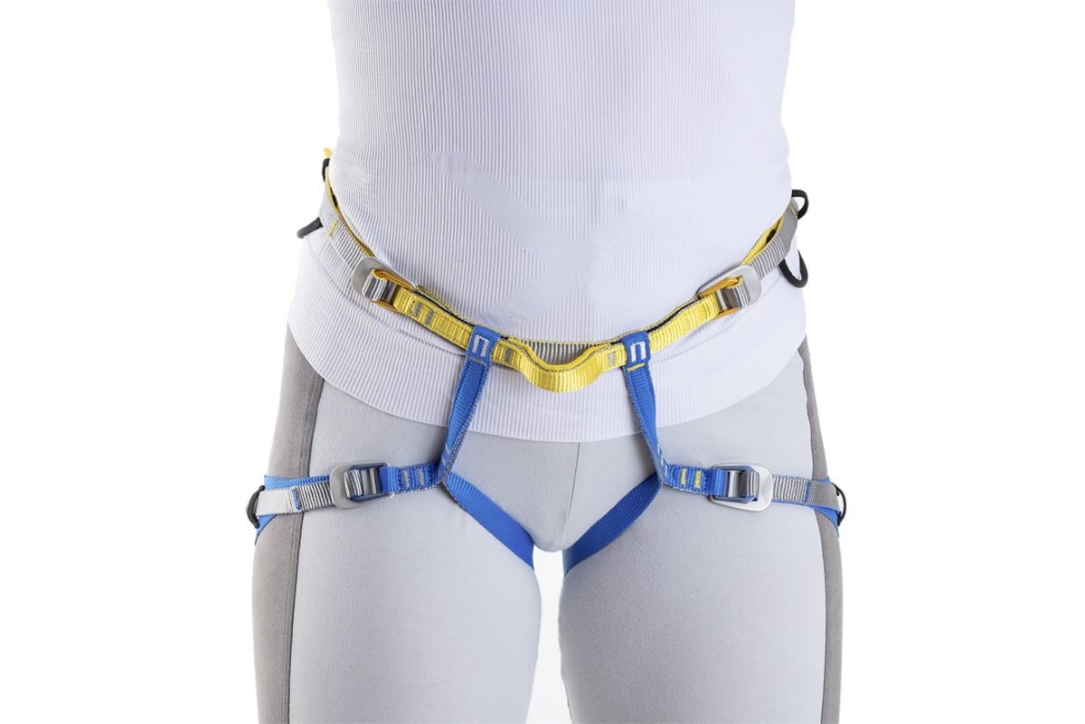 Salewa ortles sale harness