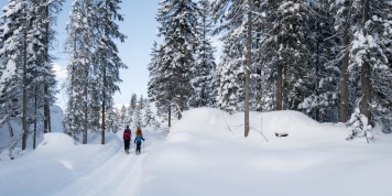 Gscheidhaferlwissen zum Thema Skitouren, das ihr bestimmt noch nicht kennt