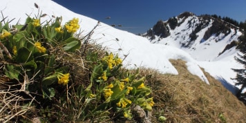 Bergbericht: Wandern und am Alpenhauptkamm Skitouren möglich