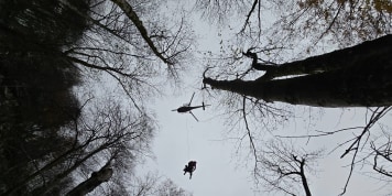 Verirrt und verletzt im Hagengebirge: Vermisste Wanderer nach zwei Tagen gerettet