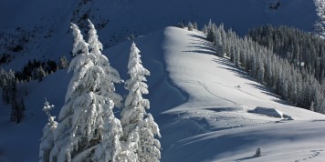 Wochenendaussichten: eiskaltes Wintermärchen, ab Sonntag Tauwetter