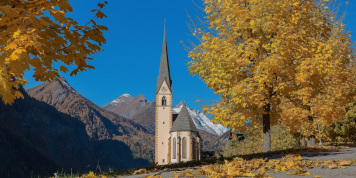 Fotowettbewerb "Die schönsten Farben im Herbst"!