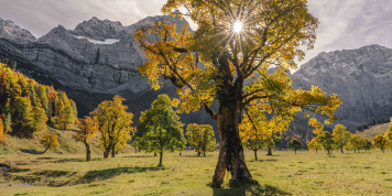 Fotowettbewerb "Die schönsten Farben im Herbst"!