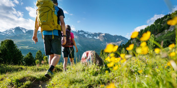 Wander-Abenteuer Transalp: in 6 Routen über die Alpen