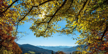 Fotowettbewerb "Die schönsten Farben im Herbst": Die Siegerbilder der Jury