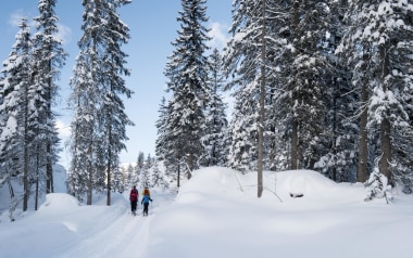 Wissenswertes zum Thema Skitouren