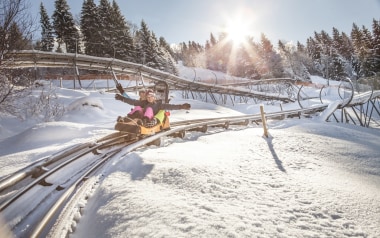 Soll nun ganzjährig betrieben werden: Der AlpineCoaster