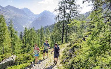 Montafon: Wo Bergwiesen und Almen seit Jahrhunderten das Leben prägen
