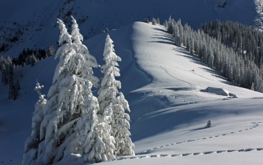 Der Alpenrand als Wintermärchen 