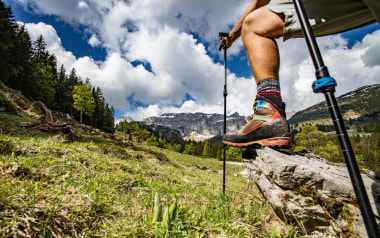 Wandern mit Stöcken